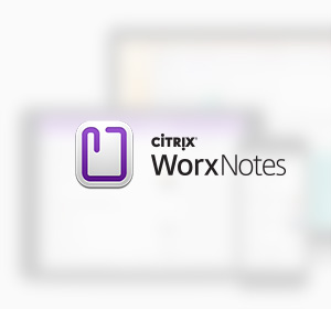 <span>Citrix WorxNotes</span><i>→</i>